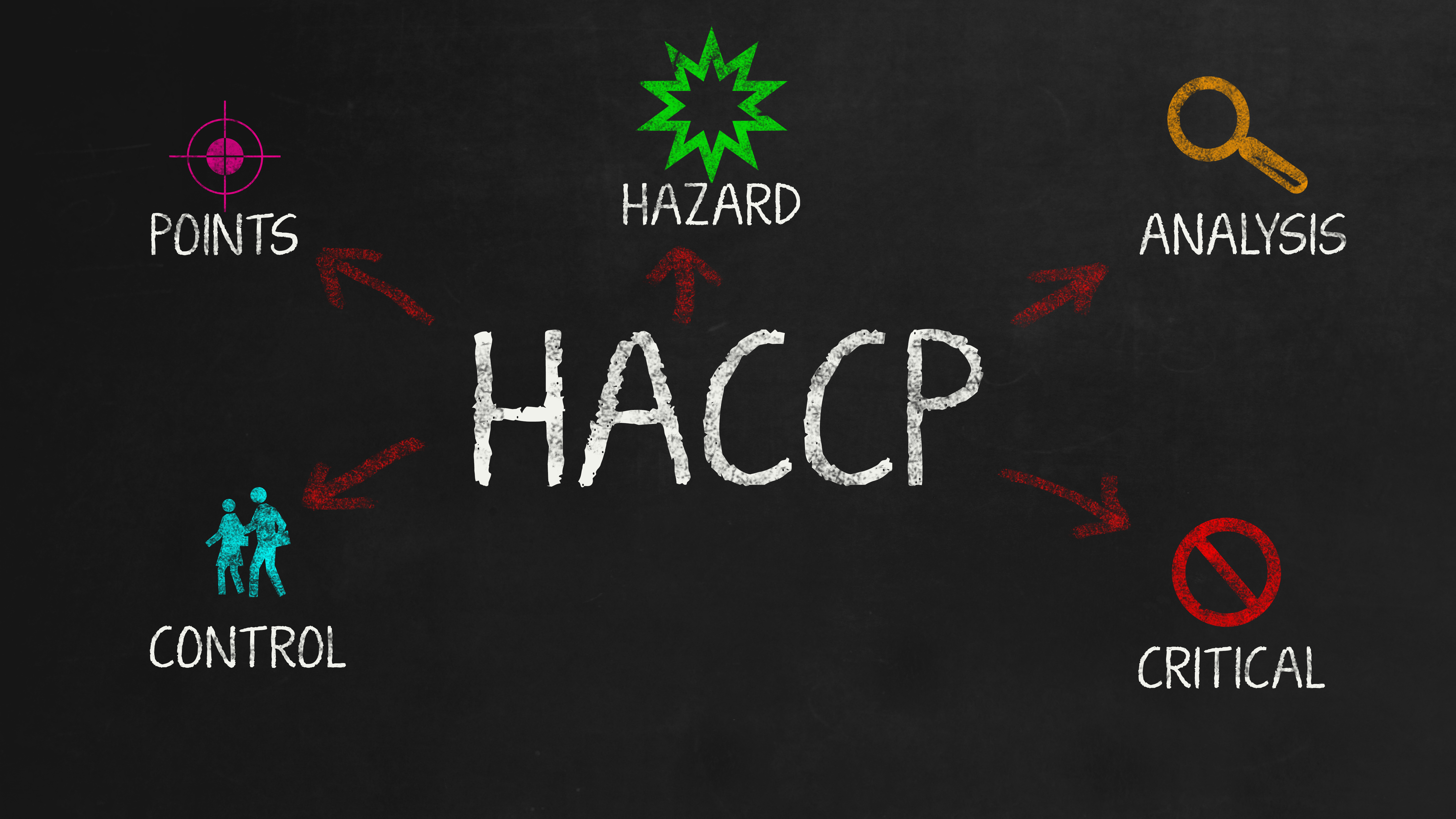 What are the 7 Principles of HACCP? Training Terminal