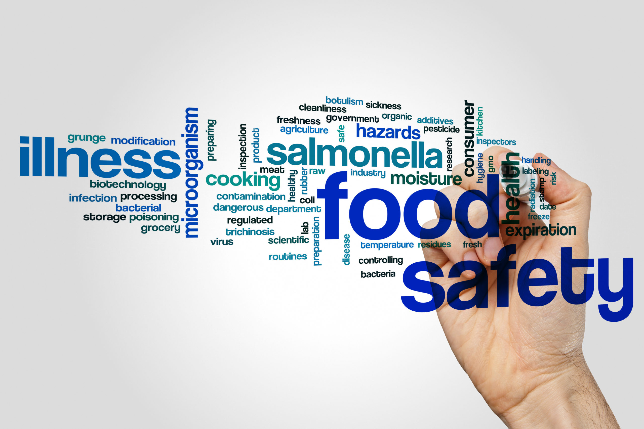 Offering an Food Safety Level 2 - The Training Terminal